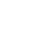 Icon Roof Tiles